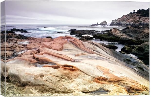 Point Lobos State Park Canvas Print by Chris Frost