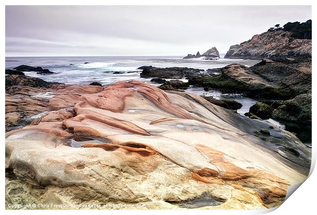 Point Lobos State Park Print by Chris Frost