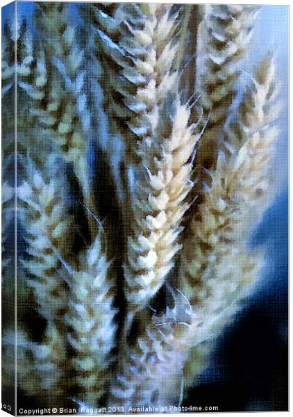 Dried Wheat Heads Bunch in Pastel Canvas Print by Brian  Raggatt