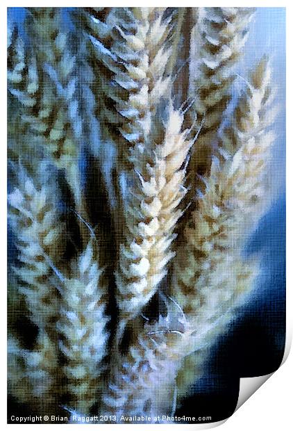 Dried Wheat Heads Bunch in Pastel Print by Brian  Raggatt
