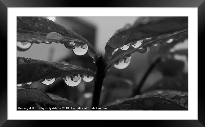 BW Raindrops Framed Mounted Print by Pics by Jody Adams