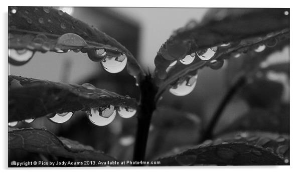 BW Raindrops Acrylic by Pics by Jody Adams