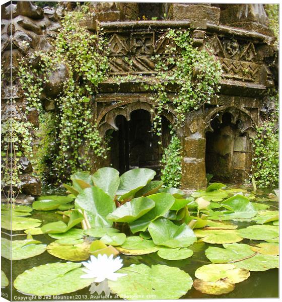 Lilly in the fountain Canvas Print by Jez Mouncer
