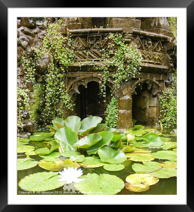 Lilly in the fountain Framed Mounted Print by Jez Mouncer