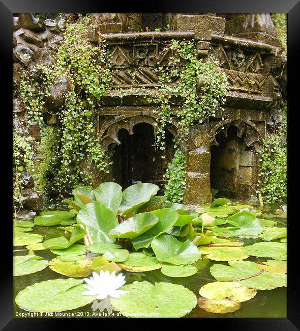 Lilly in the fountain Framed Print by Jez Mouncer