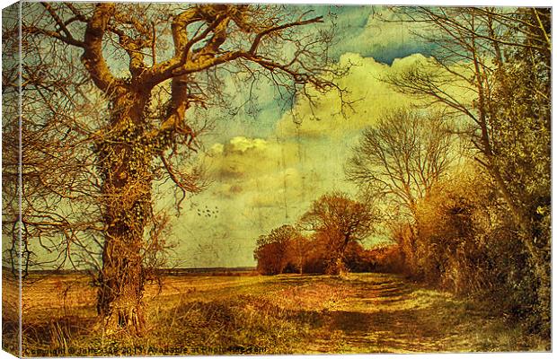 Norfolk Countryside. Canvas Print by Julie Coe