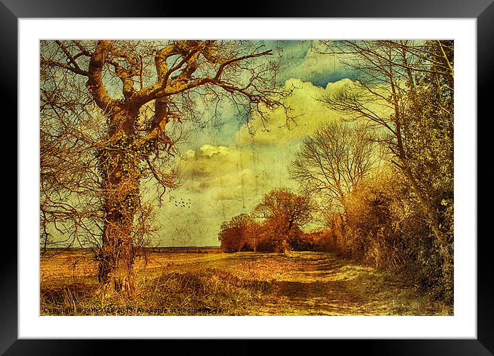 Norfolk Countryside. Framed Mounted Print by Julie Coe