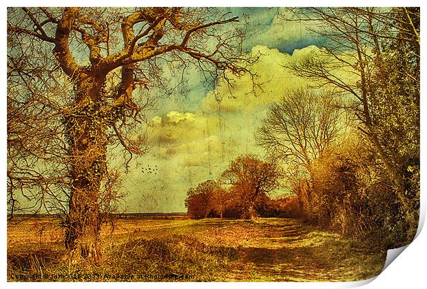Norfolk Countryside. Print by Julie Coe