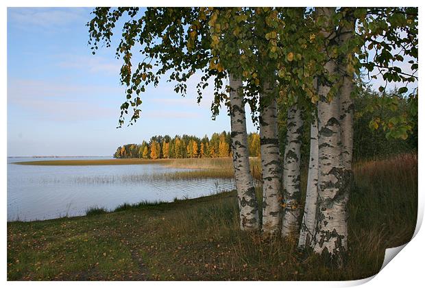 Autumn Colors Print by Hemmo Vattulainen