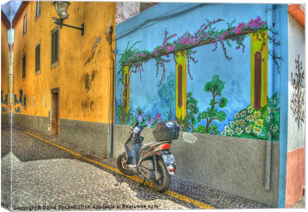 Old Town Funchal Canvas Print by David Birchall