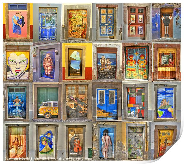 Funchal Door Art Collage. Print by David Birchall