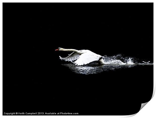 Transition to flight Print by Keith Campbell