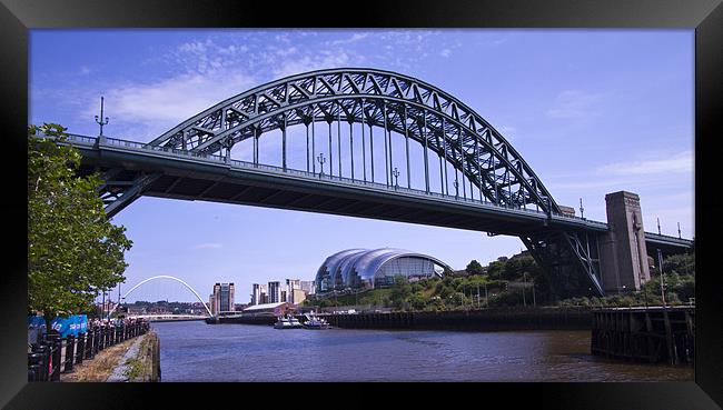 Newcastle river Tyne Bridges Framed Print by David French