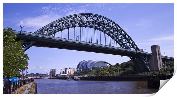 Newcastle river Tyne Bridges Print by David French