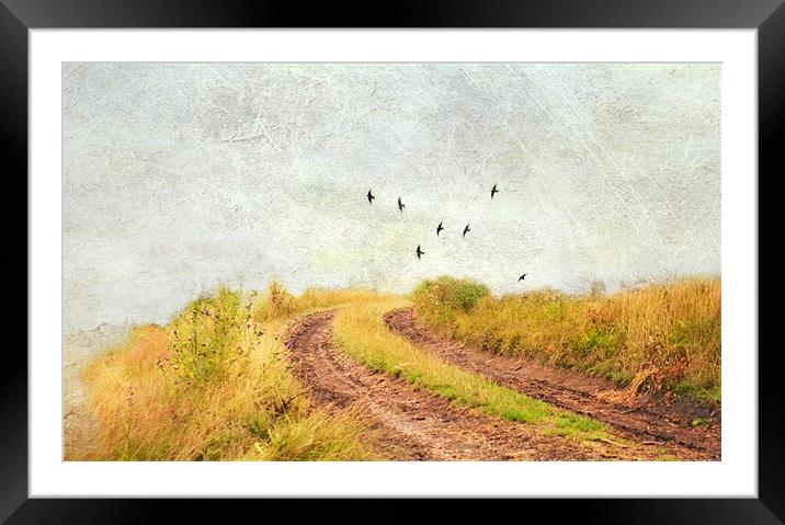 Somewhere, Nowhere Framed Mounted Print by Dawn Cox