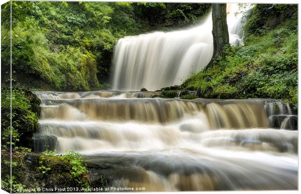 Raging Scaleber Force Falls Canvas Print by Chris Frost