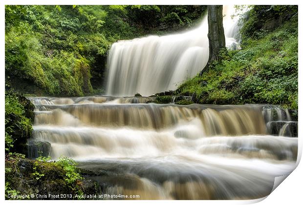 Raging Scaleber Force Falls Print by Chris Frost