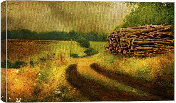 country lane Canvas Print by Dawn Cox