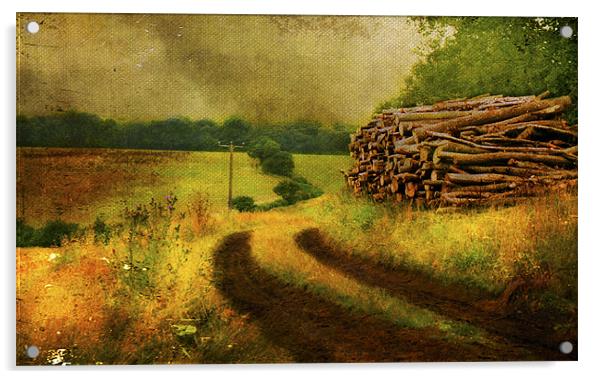 country lane Acrylic by Dawn Cox