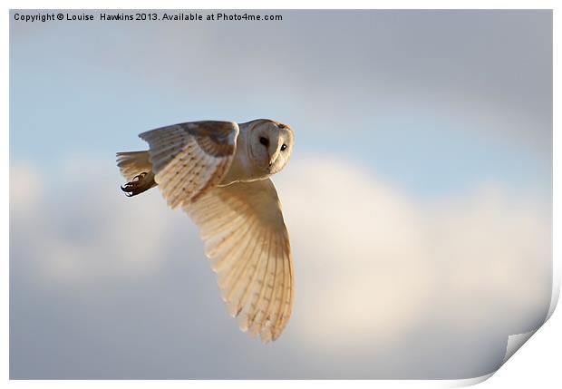 Hunting Barn Owl Print by Louise  Hawkins