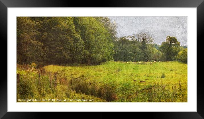 Bottom of the Meadow Framed Mounted Print by Julie Coe