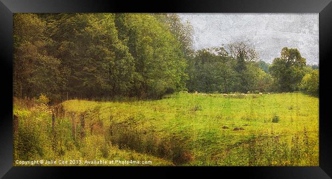 Bottom of the Meadow Framed Print by Julie Coe