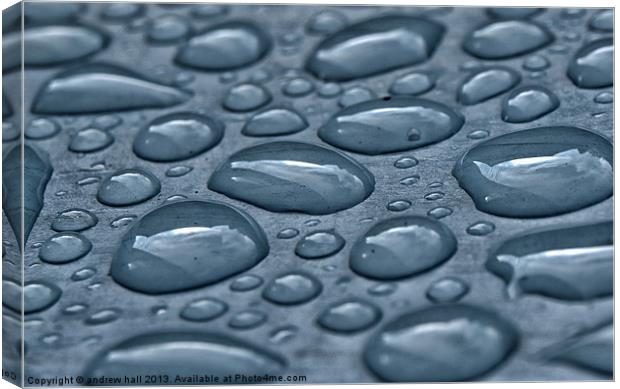 Blue Rain Canvas Print by andrew hall