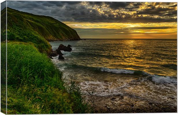 Baggy Point Canvas Print by Dave Wilkinson North Devon Ph