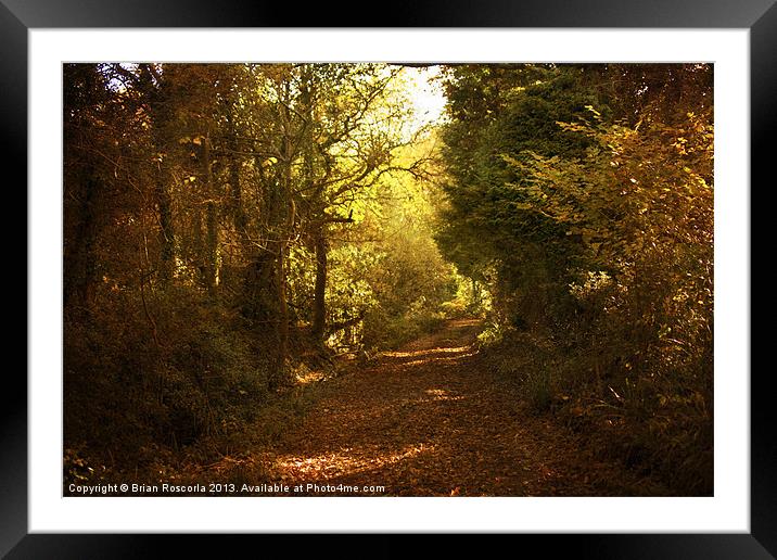 Path of Leaves Framed Mounted Print by Brian Roscorla