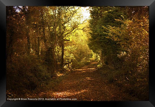 Path of Leaves Framed Print by Brian Roscorla