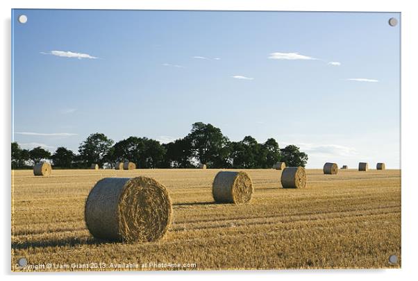 Evening light over round bales of straw in a recen Acrylic by Liam Grant