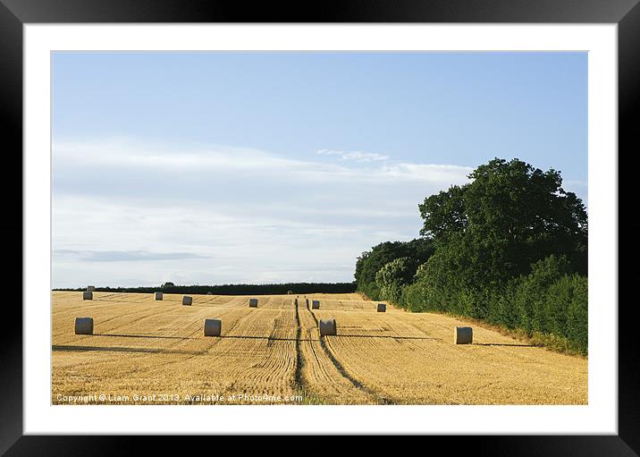 Evening light over round bales of straw in a recen Framed Mounted Print by Liam Grant