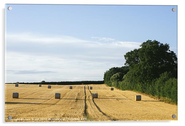 Evening light over round bales of straw in a recen Acrylic by Liam Grant
