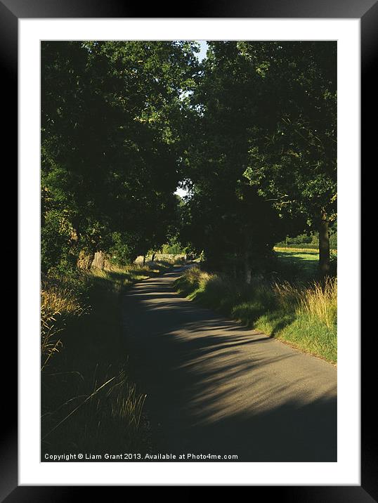 Evening light on a small country road lined with O Framed Mounted Print by Liam Grant