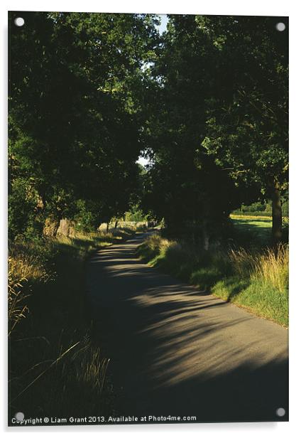 Evening light on a small country road lined with O Acrylic by Liam Grant