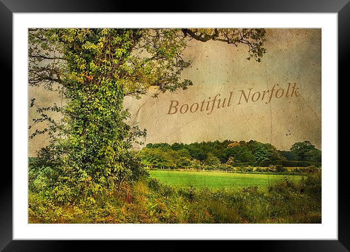 Bootiful Norfolk Framed Mounted Print by Julie Coe