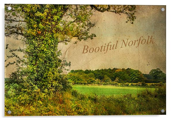 Bootiful Norfolk Acrylic by Julie Coe