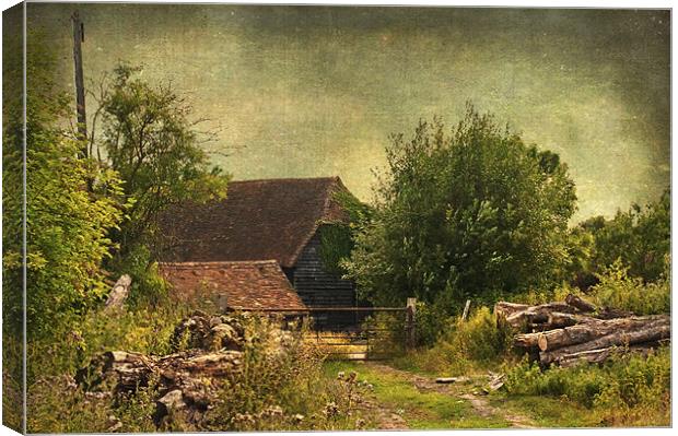 Old Kent Canvas Print by Dawn Cox
