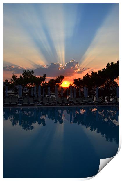Swimming Pool Sunset Print by Shaun Cope
