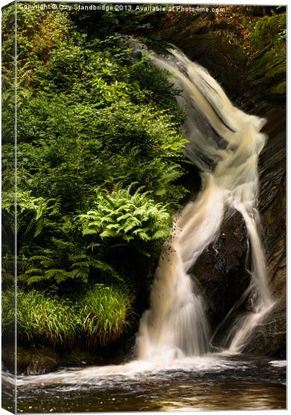 Falls and ferns Canvas Print by Izzy Standbridge