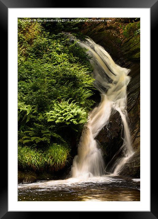 Falls and ferns Framed Mounted Print by Izzy Standbridge