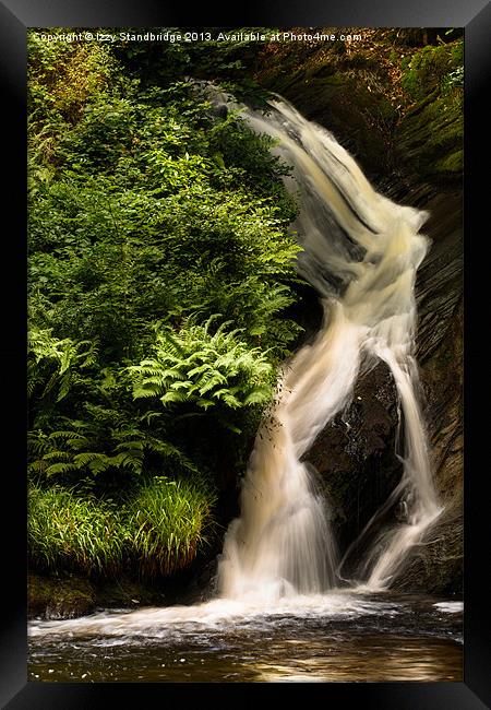 Falls and ferns Framed Print by Izzy Standbridge