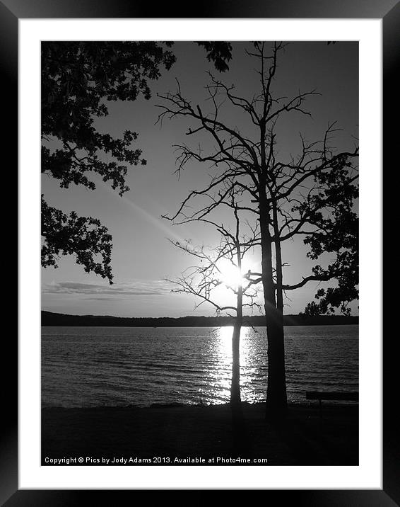 BW Bare Tree Framed Mounted Print by Pics by Jody Adams