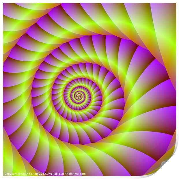 Spiral in Pink and Yellow Print by Colin Forrest