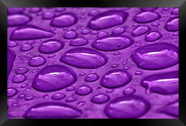 Purple Rain Framed Print by andrew hall