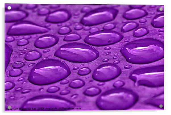Purple Rain Acrylic by andrew hall