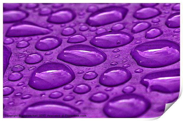 Purple Rain Print by andrew hall