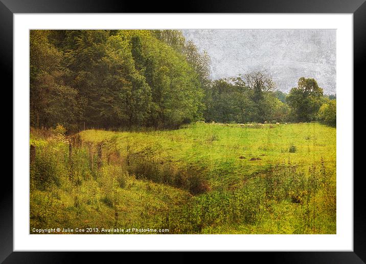 Bottom of the Meadow 2 Framed Mounted Print by Julie Coe