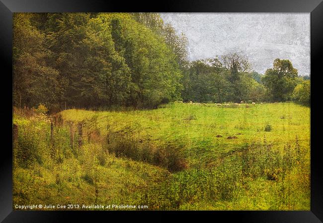 Bottom of the Meadow 2 Framed Print by Julie Coe