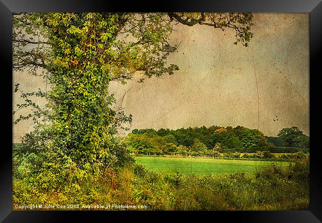 Bootiful Norfolk 2 Framed Print by Julie Coe